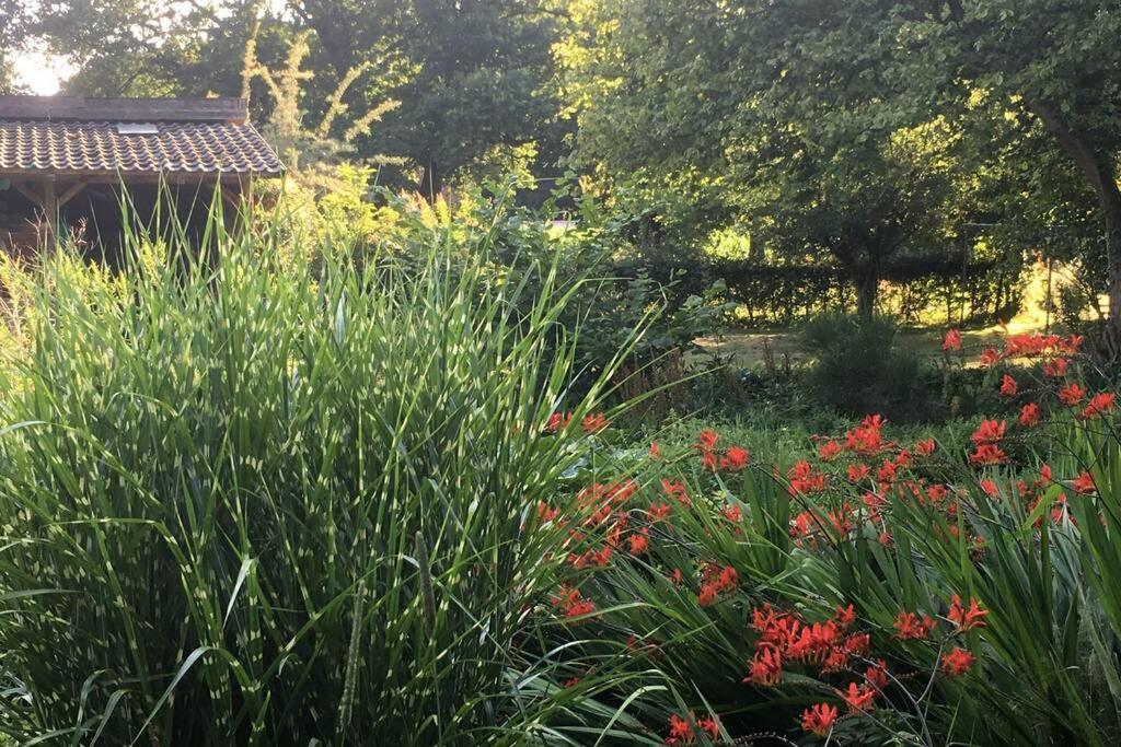Gemuetliches Nest Fuer Zwei Personen Zum Ausspannen Beverstedt Luaran gambar